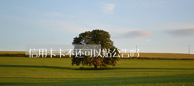 信用卡卡不还可以贴公告吗