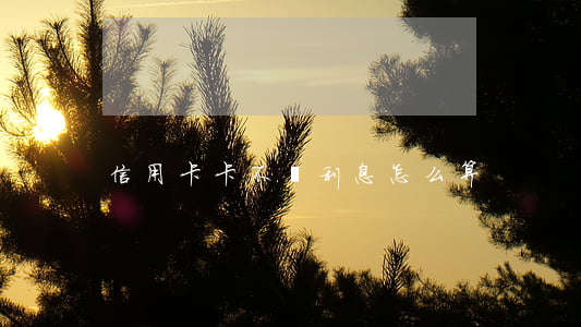 信用卡卡不還利息怎么算
