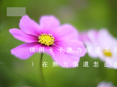信用卡卡無力償還怎么辦(信用卡實(shí)在無力償還怎么辦理)