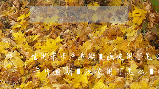 信用卡卡片逾期無法使用了怎么辦-信用卡卡片逾期無法使用了怎么辦呢