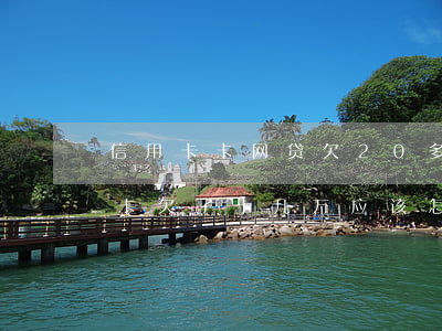 信用卡卡网贷欠20多万怎么办(网贷和信用卡欠了十几万,应该怎么办?)