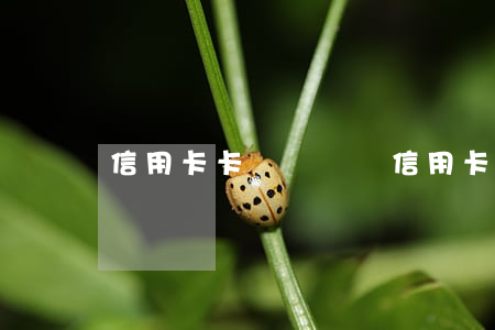 信用卡卡號會變嗎（信用卡逾期會換卡號么）