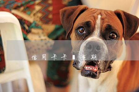 信用卡卡貸逾期