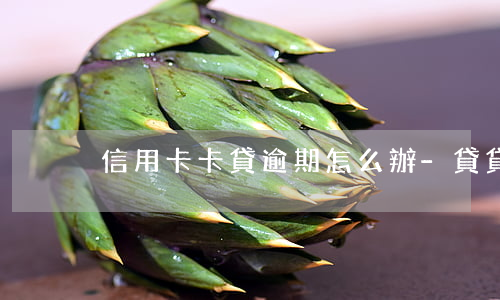 信用卡卡貸逾期怎么辦-貸貸卡逾期怎么辦