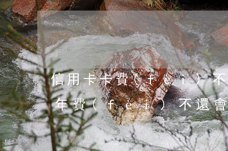 信用卡卡費(fèi)不還會怎么樣(信用卡年費(fèi)不還會怎么樣)