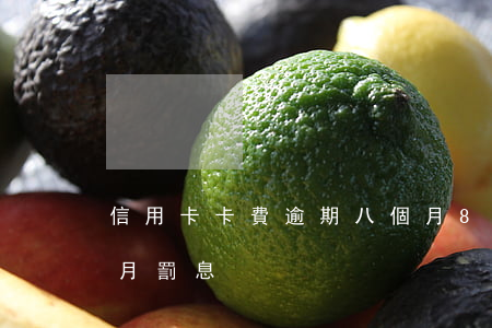 信用卡卡費逾期八個月(8萬信用卡逾期一個月罰息)