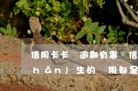 信用卡卡費逾期有事嗎(信用卡逾期后產(chǎn)生的費用都是什么)