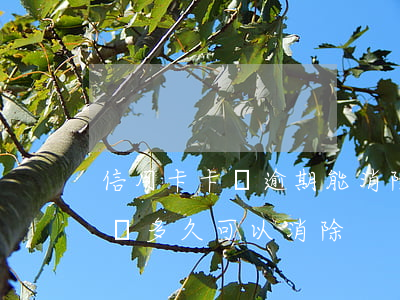 信用卡卡費逾期能消除嗎-有信用卡逾期記錄多久可以消除