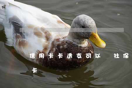 信用卡卡透支可以辦社保嗎(社?？苻k信用卡)