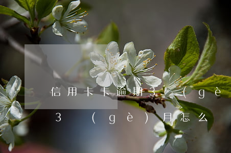 信用卡卡逾期3個(gè)月(信用卡卡逾期3個(gè)月怎么還)