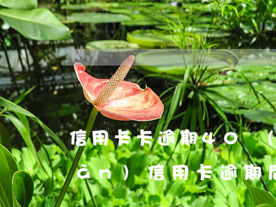 信用卡卡逾期40萬(wàn) 十四萬(wàn)信用卡逾期后果