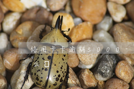 信用卡卡逾期5000-信用卡卡逾期了怎么辦