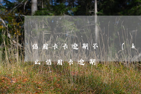 信用卡卡逾期不還會(huì)怎么樣(為什么信用卡逾期)