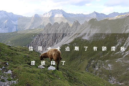 信用卡卡逾期了有额度 我信用卡没有逾期额度被降了