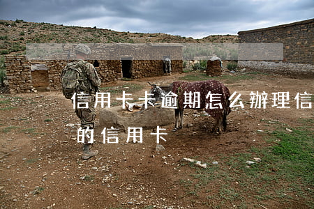 信用卡卡逾期怎么辦理信用卡(如何處理逾期的信用卡)