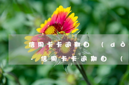 信用卡卡逾期自動(dòng)扣款怎么辦-信用卡卡逾期自動(dòng)扣款怎么辦