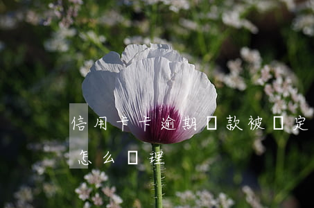 信用卡卡逾期還款被鎖定怎么辦(逾期鎖卡后怎么處理)