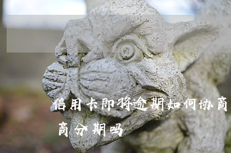 信用卡即将逾期如何协商分期(逾期了可以协商分期吗)