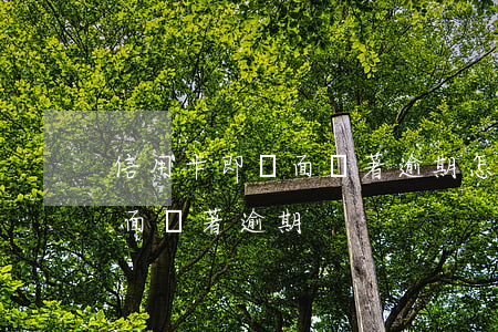信用卡即將面臨著逾期怎么處理（信用卡即將面臨著逾期）
