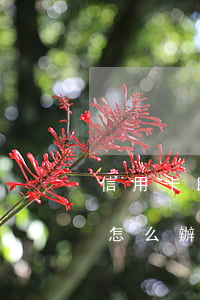 信用卡即將面臨逾期怎么辦(信用卡逾期了該怎么辦)