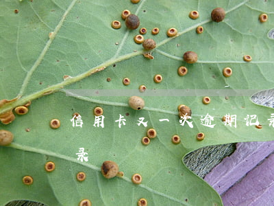 信用卡又一次逾期记录(信用卡又一次逾期记录)