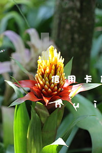 信用卡及網(wǎng)貸逾期案一般會(huì)在哪里-信用卡,網(wǎng)貸逾期怎么處理方法