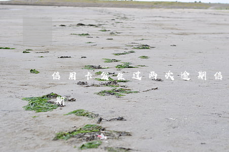 信用卡发生过两次逾期(信用卡发生过两次逾期)