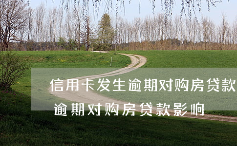 信用卡发生逾期对购房贷款影响(信用卡发生逾期对购房贷款影响)