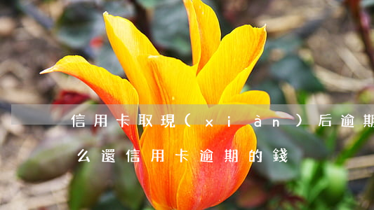 信用卡取現(xiàn)后逾期怎么辦-怎么還信用卡逾期的錢