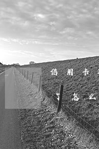 信用卡取現(xiàn)費(fèi)逾期了怎么辦(怎么還信用卡取現(xiàn)的錢)