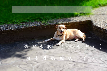 信用卡取現(xiàn)逾期怎么還款(還信用卡可以先取現(xiàn)再還進去嗎?)