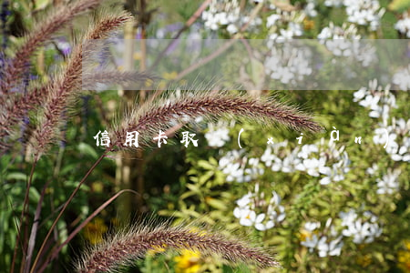 信用卡取現(xiàn)逾期未還怎麼辦