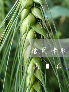 信用卡取現(xiàn)金當(dāng)月還不上怎么辦-信用卡取現(xiàn)金當(dāng)月還不上怎么辦呢