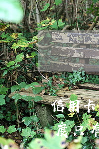 信用卡只有一塊錢額度逾期(為什么信用卡額度只有一塊錢)