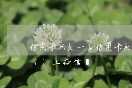 信用卡只欠一千(信用卡欠一千塊錢會(huì)上征信嗎)
