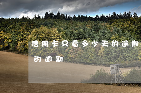 信用卡只看多少天的逾期 信用卡只看多少天的逾期