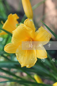 信用卡只要逾期的都會(huì)上征信嗎-信用卡只要逾期的都會(huì)上征信嗎知乎