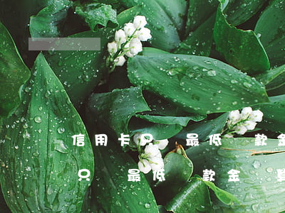 信用卡只還最低還款金額算逾期嗎-信用卡只還最低還款金額算逾期嗎怎么辦