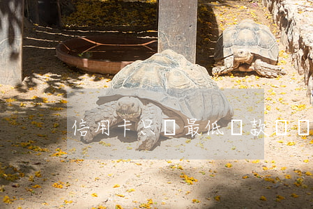 信用卡只還最低還款額會逾期嗎