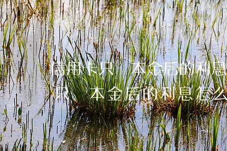 信用卡只還本金后的利息怎么處理-信用卡只還本金后的利息怎么處理呢