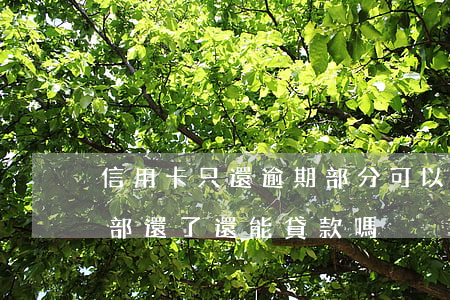 信用卡只還逾期部分可以(信用卡逾期但是全部還了還能貸款嗎)