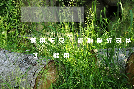 信用卡只還逾期部分可以(逾期的信用卡還完了還能用嗎)