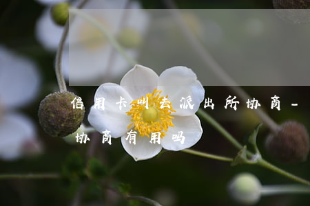信用卡叫去派出所协商-信用卡叫去派出所协商有用吗