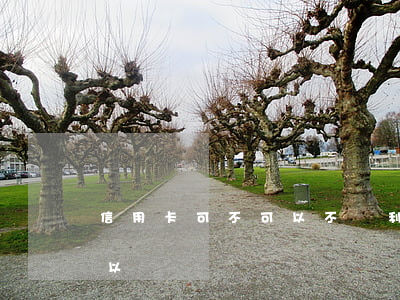 信用卡可不可以不還利息(信用卡只還利息可以嗎)
