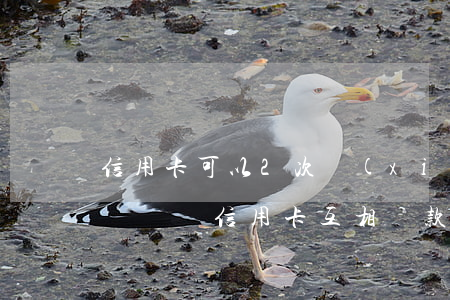 信用卡可以2次協(xié)商嗎(可不可以辦兩張信用卡互相還款)