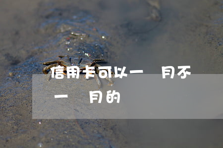 信用卡可以一個月不還嗎(信用卡只能一個月一個月的還嗎)
