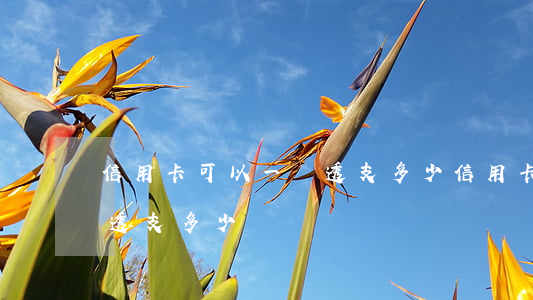 信用卡可以一張透支多少(信用卡有利息嗎,能透支多少)
