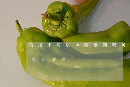信用卡可以协商展期吗(可以去信用卡中心协商还款么)