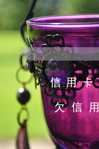 信用卡可以協(xié)商幾個(gè)月(欠信用卡可以協(xié)商只還本金嗎)