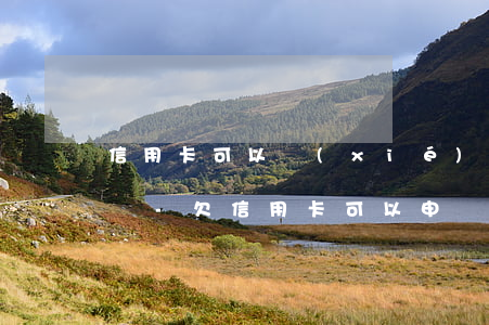 信用卡可以協(xié)商還款嗎不還利息嗎-欠信用卡可以申請(qǐng)協(xié)商還款